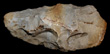 Paleo-Indian (Early Man) Hand Axe, c. 10,000 BC Paleo-Indian (Early Man) Hand Axe, c. 10,000 BC